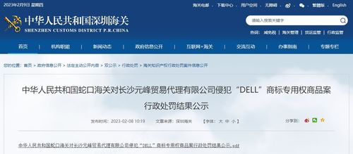 長沙元峰貿(mào)易代理侵犯Dell商標(biāo)專用權(quán)商品案行政處罰結(jié)果公示